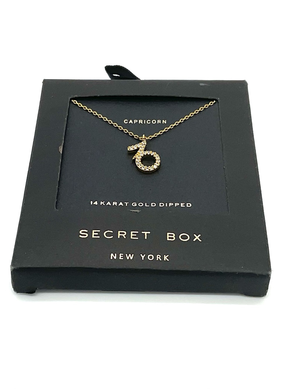 NIB Capricorn 14k Gold Dipped Astrology Pendant Necklace